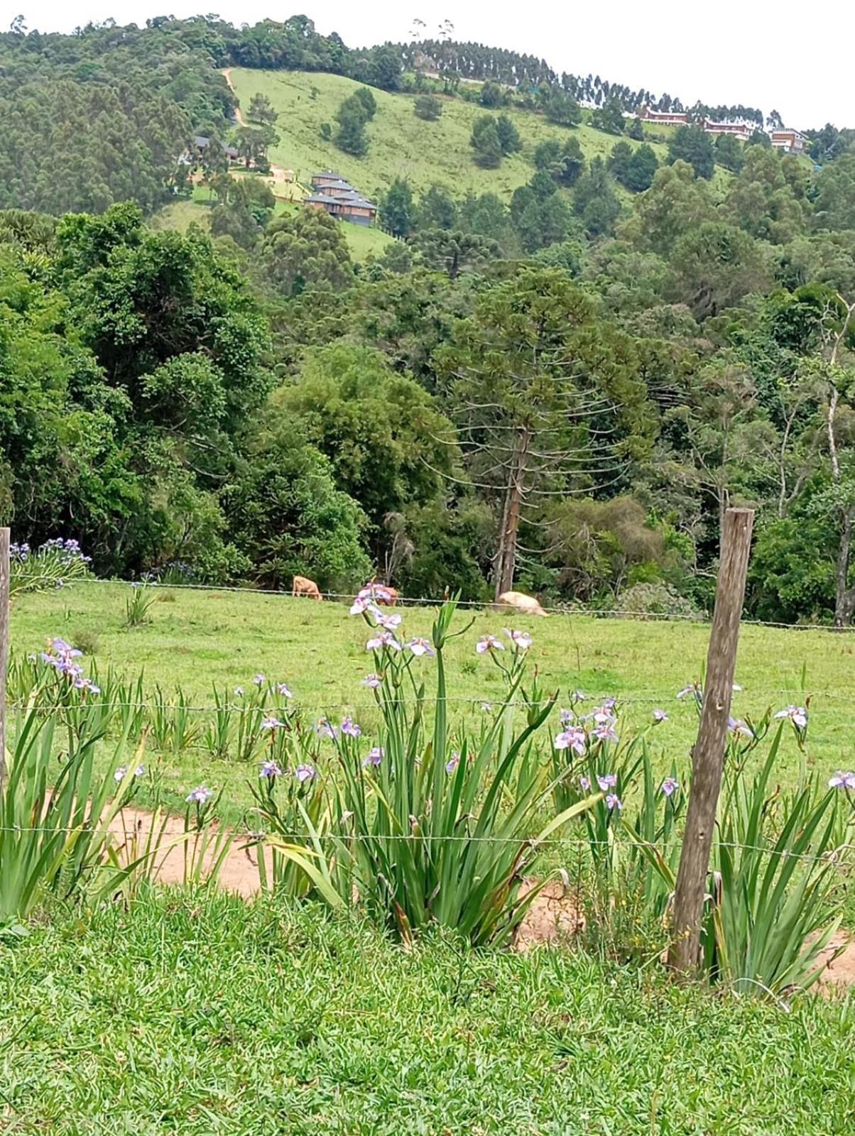 Chalé Fazenda Refugio do Vale Monte Verde (Minas Gerais) Exterior foto